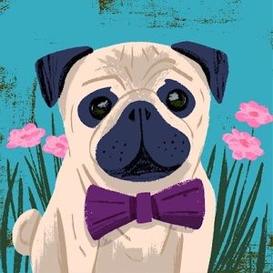 Meet your Posher, Abbey